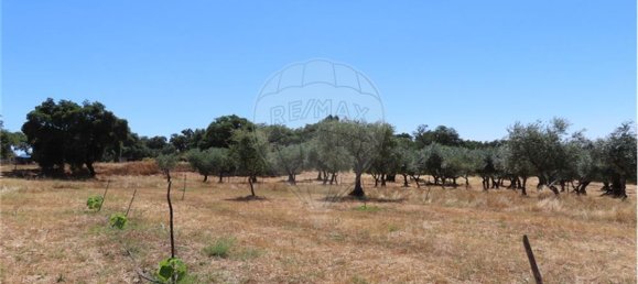 9 Schlafzimmer Haus in Proenca a Velha, Portugal, Nr. 62562 31