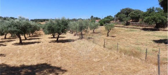 9 Schlafzimmer Haus in Proenca a Velha, Portugal, Nr. 62562 25