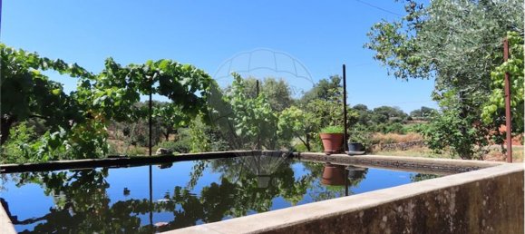 9 Schlafzimmer Haus in Proenca a Velha, Portugal, Nr. 62562 14