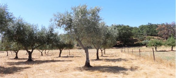 9 Schlafzimmer Haus in Proenca a Velha, Portugal, Nr. 62562 40