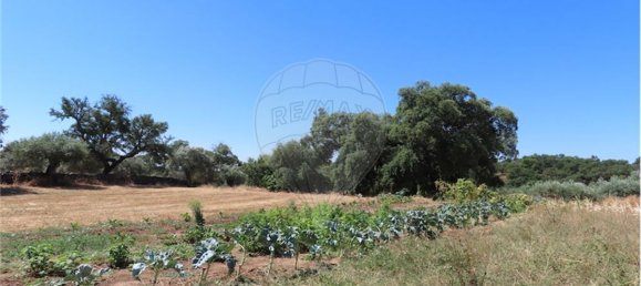 9 Schlafzimmer Haus in Proenca a Velha, Portugal, Nr. 62562 19