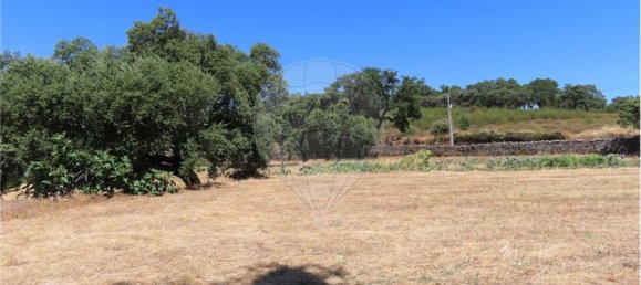 9 Schlafzimmer Haus in Proenca a Velha, Portugal, Nr. 62562 22