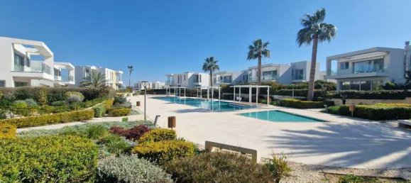 4 Schlafzimmer Villa in Pegeia, Cyprus, Nr. 67711 4