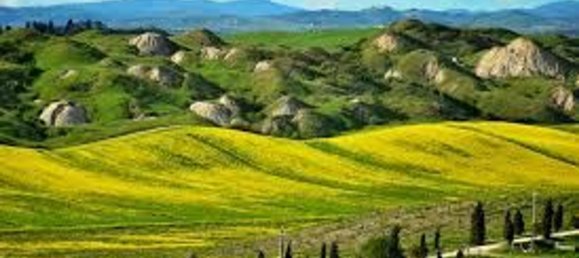 4 rooms Apartment in Asciano, Italy No. 223505 16