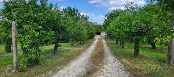4 bedrooms House in Vienne, France No. 338955 18