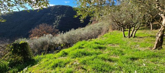 3-Zimmer Haus in Terni, Italy, Nr. 2452 35