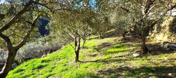 3-Zimmer Haus in Terni, Italy, Nr. 2452 36