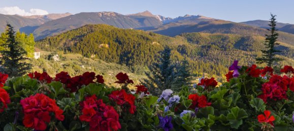 Коммерческая недвижимость с 7 спальнями в Эдвардс, США № 83 24