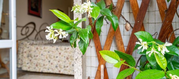 3 Schlafzimmer Wohnung in Voghera, Italy, Nr. 329104 15