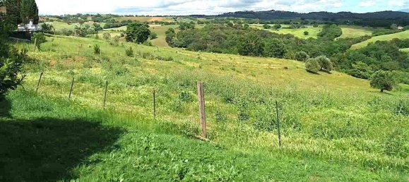 Grundstück in Campagnatico, Italy 120000m², Nr. 271574 4