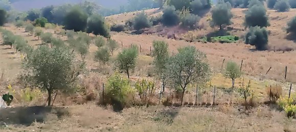 Grundstück in Campagnatico, Italy 120000m², Nr. 271574 2