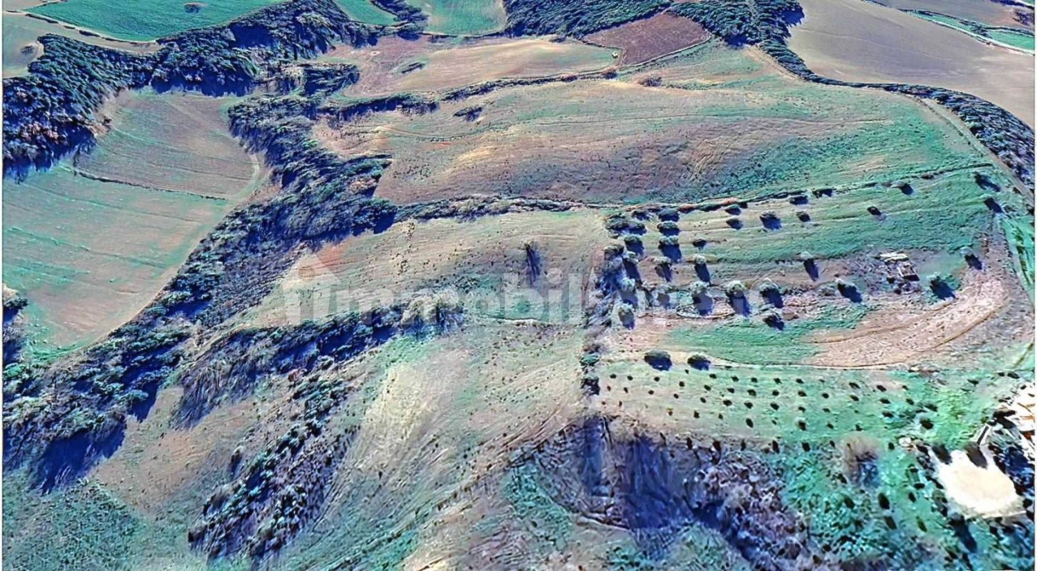 Grundstück in Campagnatico, Italy 120000m², Nr. 271574