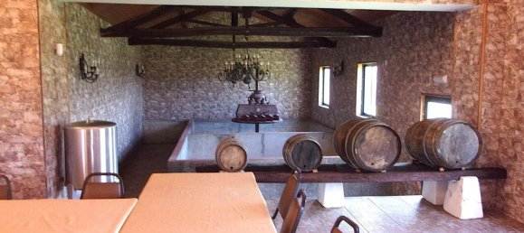 11 Schlafzimmer Grundstück in Caldas da Rainha, Portugal, Nr. 128026 41