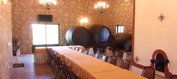 11 Schlafzimmer Grundstück in Caldas da Rainha, Portugal, Nr. 128026 39