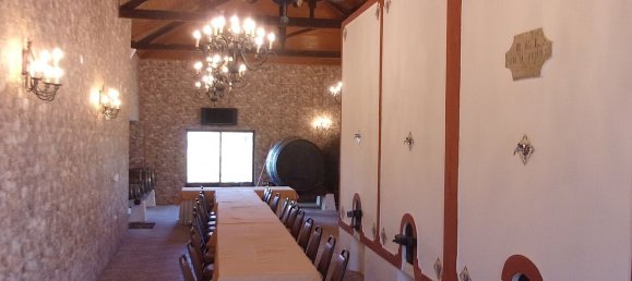 11 Schlafzimmer Grundstück in Caldas da Rainha, Portugal, Nr. 128026 36