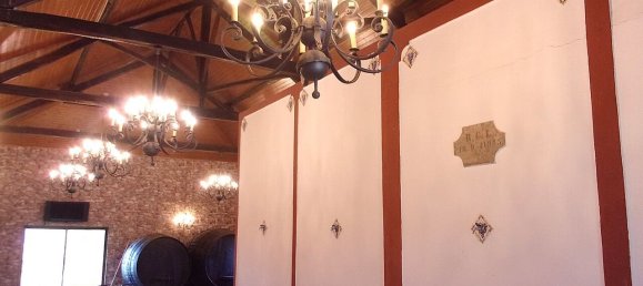 11 Schlafzimmer Grundstück in Caldas da Rainha, Portugal, Nr. 128026 38