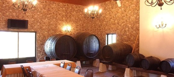 11 Schlafzimmer Grundstück in Caldas da Rainha, Portugal, Nr. 128026 40