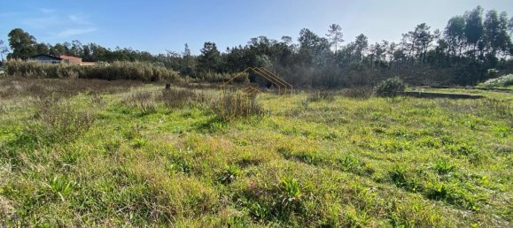 1507m² Land in Figueira da Foz, Portugal No. 87453 6