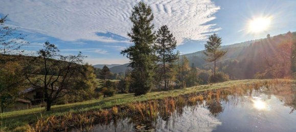 5-Zimmer Haus in Pressbaum, Austria, Nr. 249942 4