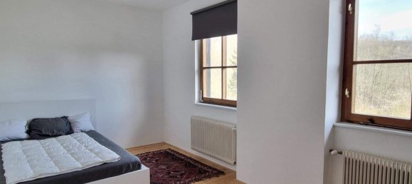 5-Zimmer Haus in Pressbaum, Austria, Nr. 249942 28