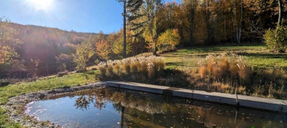 5-Zimmer Haus in Pressbaum, Austria, Nr. 249942 38