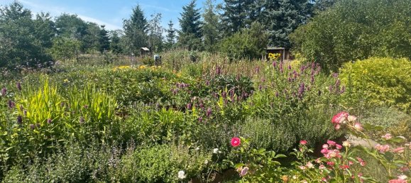Adosado de 7 habitaciónes en Spree-Neise, Germany No. 262379 15