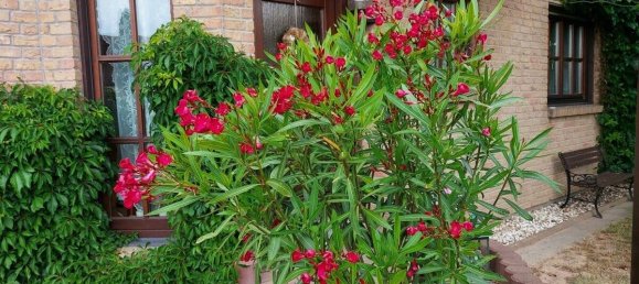 6 غرف نوم منزل في Demmin, Germany رقم 128269 9