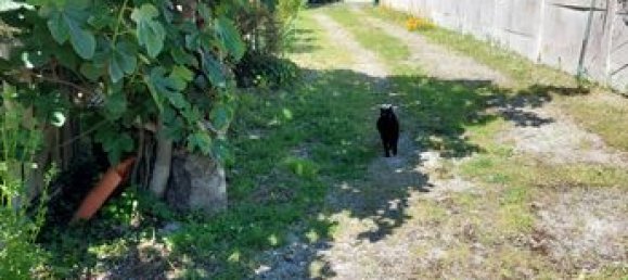 3 Schlafzimmer Haus in Charente-Maritime, France, Nr. 287643 4