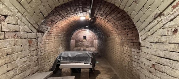 Коммерческая недвижимость с 2 комнатами в Пойсдорф, Австрия № 139620 11