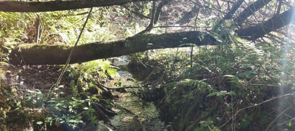 Terreno en Amares, Portugal 10800 m² No. 33768 17