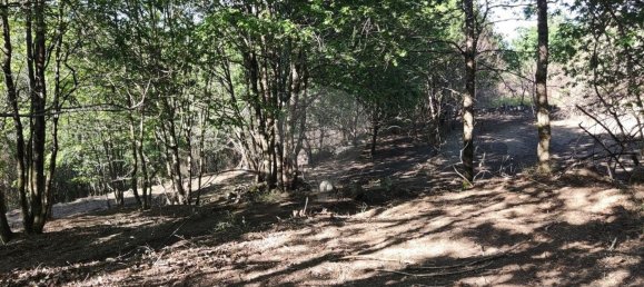 Terreno en Amares, Portugal 10800 m² No. 33768 28