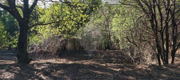 Terreno en Amares, Portugal 10800 m² No. 33768 12