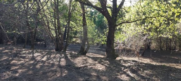 Terreno en Amares, Portugal 10800 m² No. 33768 31