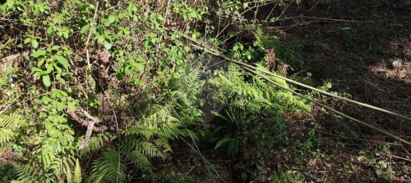 Terreno en Amares, Portugal 10800 m² No. 33768 41