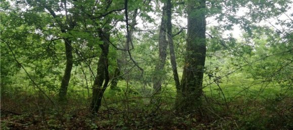 Terreno en Amares, Portugal 10800 m² No. 33768 3