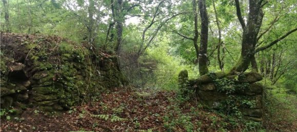 Terreno en Amares, Portugal 10800 m² No. 33768 2