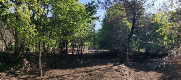 Terreno en Amares, Portugal 10800 m² No. 33768 35