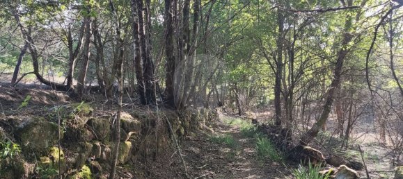 Terreno en Amares, Portugal 10800 m² No. 33768 39