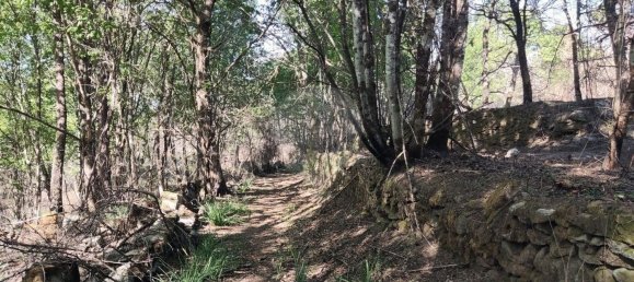 Terreno en Amares, Portugal 10800 m² No. 33768 33