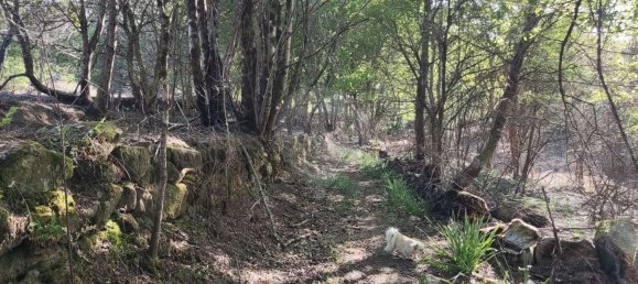 Terreno en Amares, Portugal 10800 m² No. 33768 30