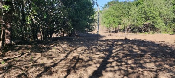 Terreno en Amares, Portugal 10800 m² No. 33768 22