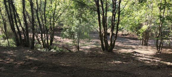 Terreno en Amares, Portugal 10800 m² No. 33768 40