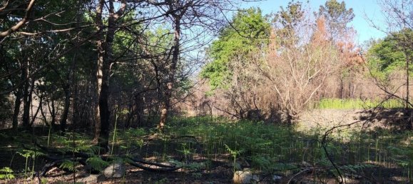 Terreno en Amares, Portugal 10800 m² No. 33768 42