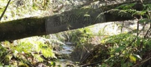 Terreno en Amares, Portugal 10800 m² No. 33768 38