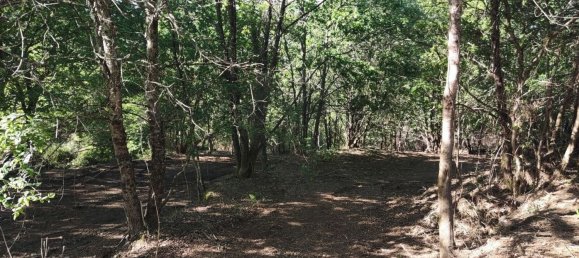 Terreno en Amares, Portugal 10800 m² No. 33768 9