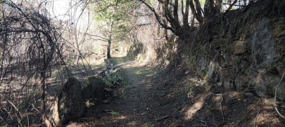 Terreno en Amares, Portugal 10800 m² No. 33768 25