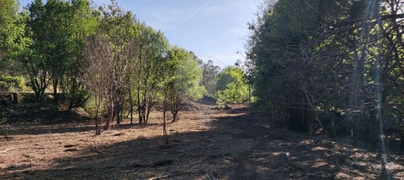 Terreno en Amares, Portugal 10800 m² No. 33768 16