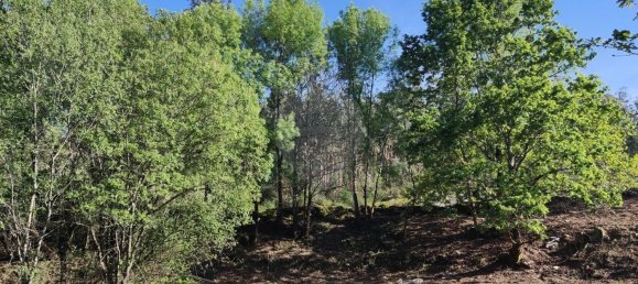 Terreno en Amares, Portugal 10800 m² No. 33768 23