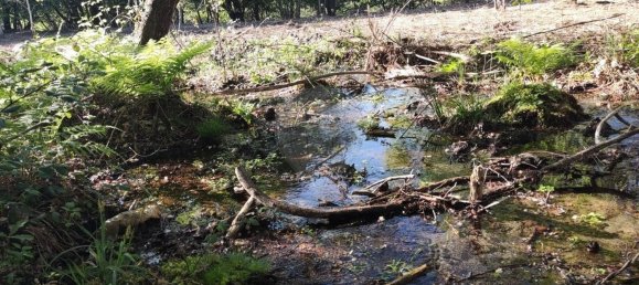 Terreno en Amares, Portugal 10800 m² No. 33768 18