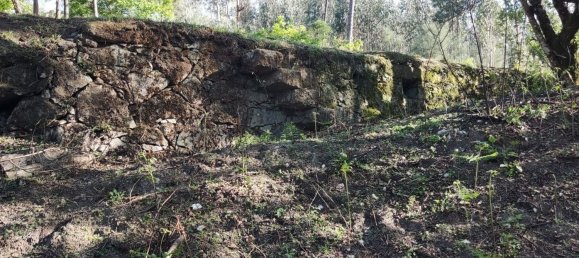 Terreno en Amares, Portugal 10800 m² No. 33768 29